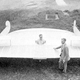 Illustration for article titled The Weirdest Aircraft of the 20th Century